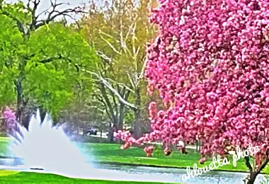 Miller Park Golf Course รูปภาพAttractionsยอดนิยม