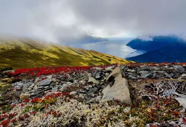 Alaska Wildlife Adventures 명소 인기 사진