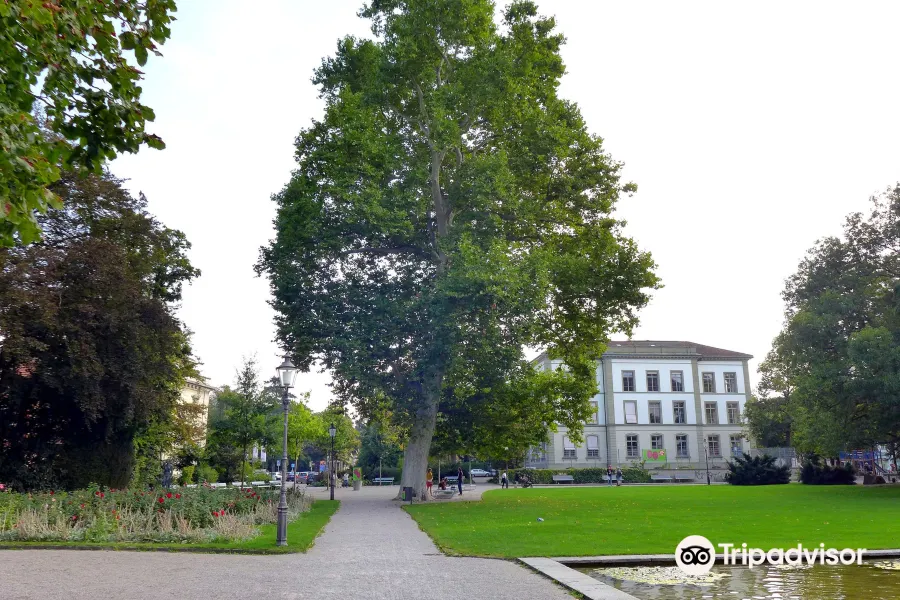 Stadtpark Winterthur1