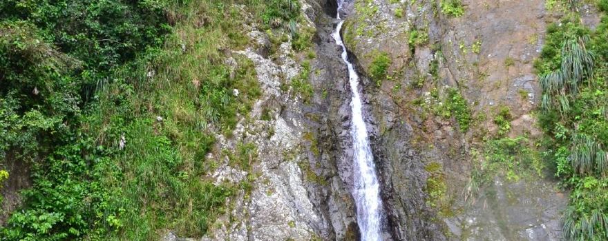 Toro Negro Travel Guide 2023 Things to Do, What To Eat & Tips