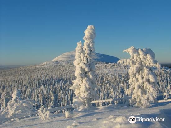 ロヴァニエミ Pyhatunturi Ski Center 評判 案内 トリップドットコム