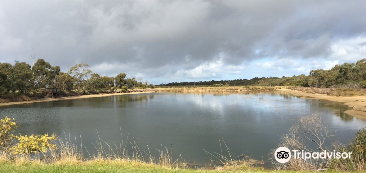 Blind Bight Travel Guide 2023 Things to Do, What To Eat & Tips