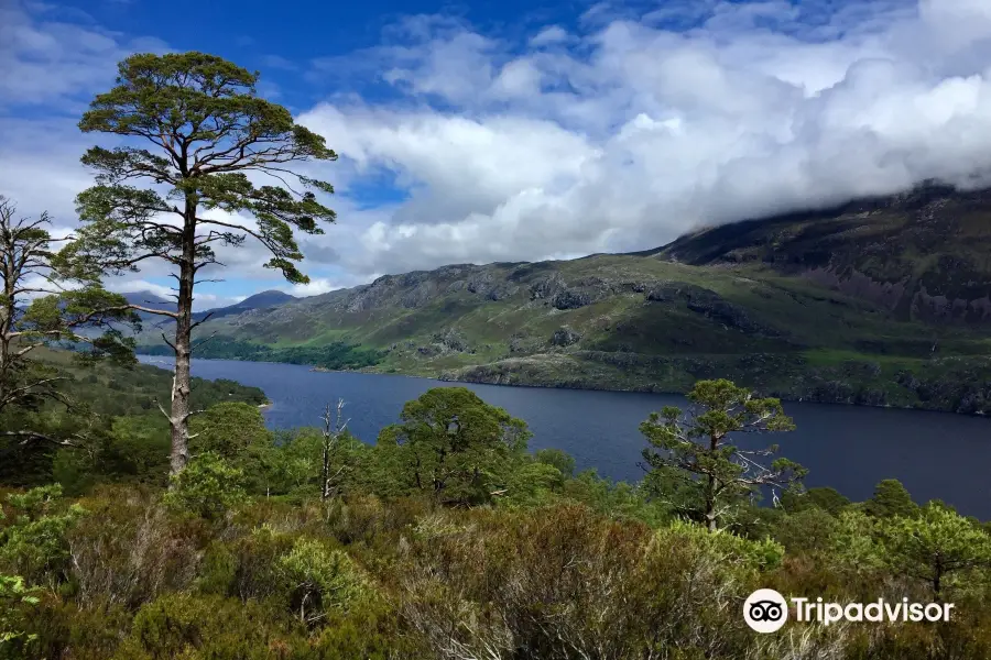 Beinn Eighe National Nature Reserve