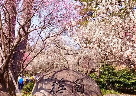 22熱海市熱門推薦活動 熱海市旅遊攻略 熱海市人氣推介景點門票 酒店 好去處 餐飲及餐廳 Trip Com