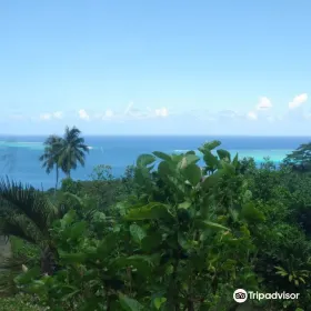 Moorea Tropical Garden