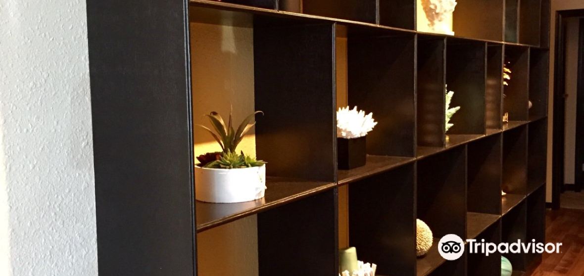 Things to Do in Bellaire in 2024 Top Attractions, Local Food, Hotels & Travel Tips