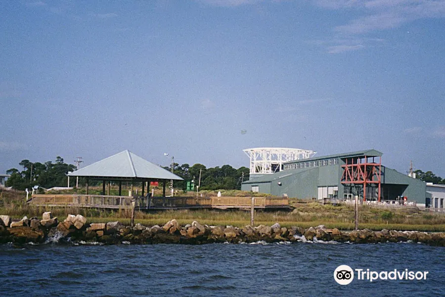 Alabama Aquarium at the Dauphin Island Sea Lab 명소 리뷰 Alabama Aquarium