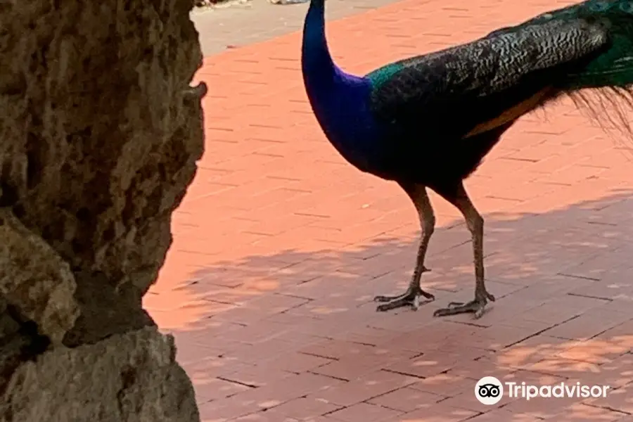 Pinecrest Gardens最新資訊、特色及評價