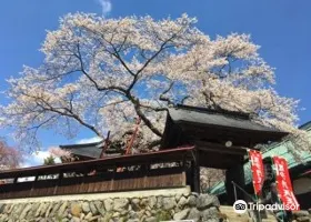 吉祥寺のレビュー 吉祥寺のチケット 吉祥寺の割引 吉祥寺の交通機関 所在地 営業時間 吉祥寺周辺の観光スポット ホテル グルメ Trip Com 吉祥寺のレビュー 吉祥寺のチケット 吉祥寺の割引 吉祥寺の交通機関 所在地 営業時間 吉祥寺周辺の観光スポット ホテル グルメ Trip Com