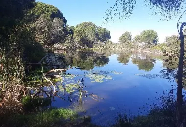 Helderberg Farm รูปภาพAttractionsยอดนิยม