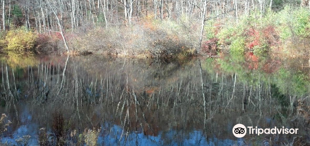 Hampden Travel Guide 2023 Things to Do, What To Eat & Tips