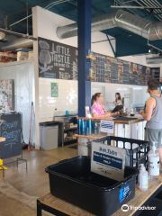 Little Thistle Brewing