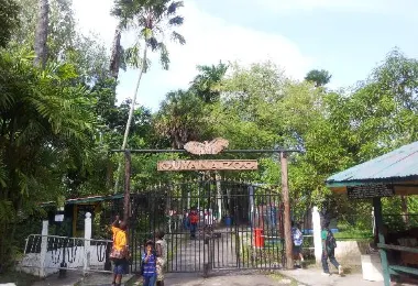 Guyana Zoological Park 명소 인기 사진