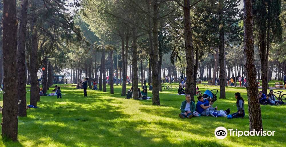 dokuma park travel guidebook must visit attractions in antalya dokuma park nearby recommendation trip com