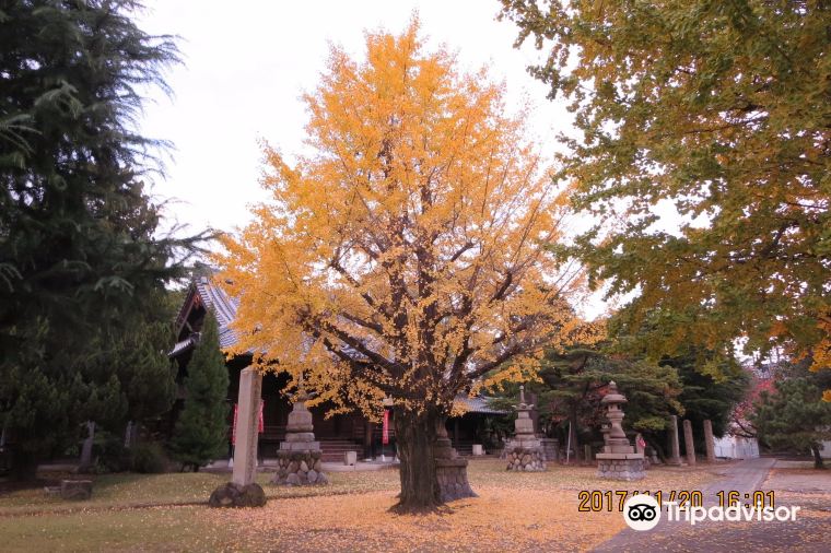 Ichinomiya 2022 Top Things to Do - Ichinomiya Travel Guides - Top