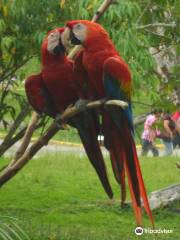 Zoologico de Caricuao