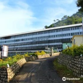 Dambatenne Tea Factory