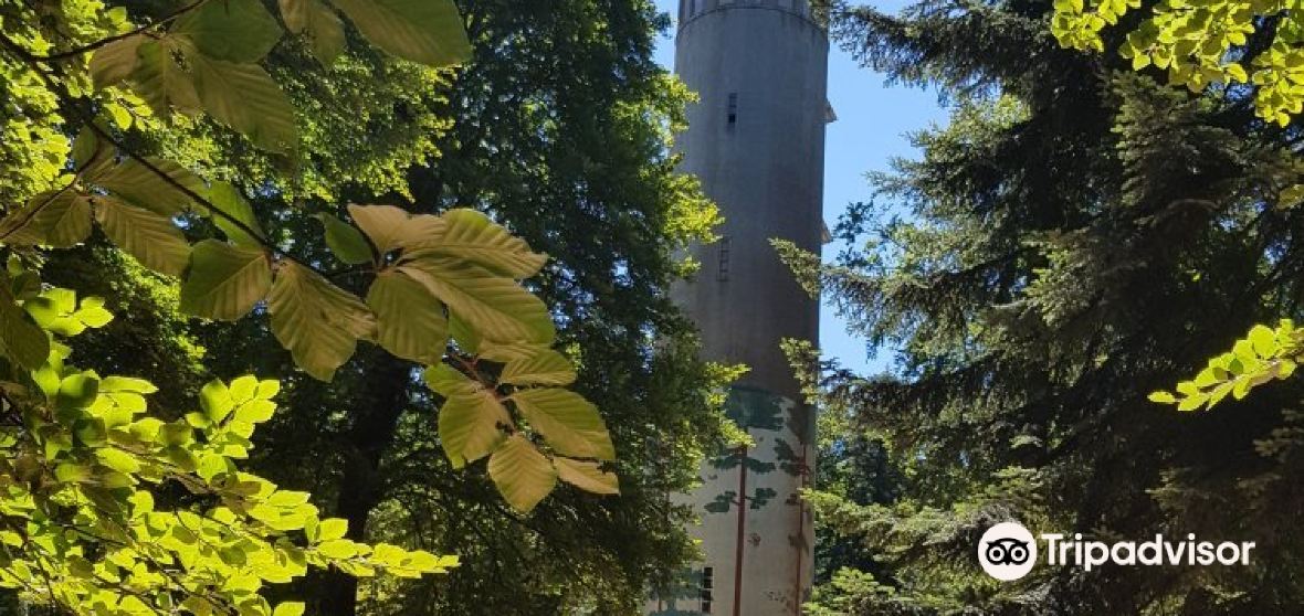 Louzes 2023 인기 명소 Louzes 트립 가이드 Louzes 인기 명소 입장권 추천, 호텔, 가 볼 만한 곳