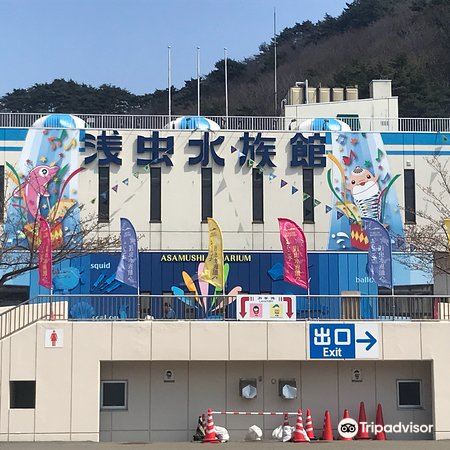 淺蟲水族館