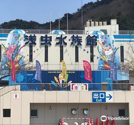 青森 浅虫水族館 評判 案内 トリップドットコム