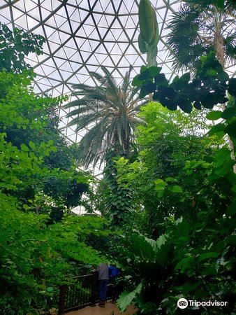 Mitchell Park Horticultural Conservatory The Domes Travel Guidebook Must Visit Attractions In Milwaukee Mitchell Park Horticultural Conservatory The Domes Nearby Recommendation Trip Com