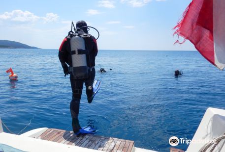 Diving Club Adriatic Blue