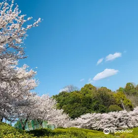 竜王公園