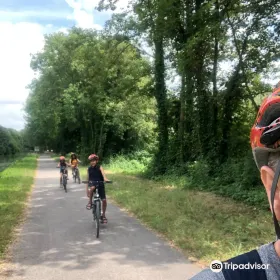 Bike Energy