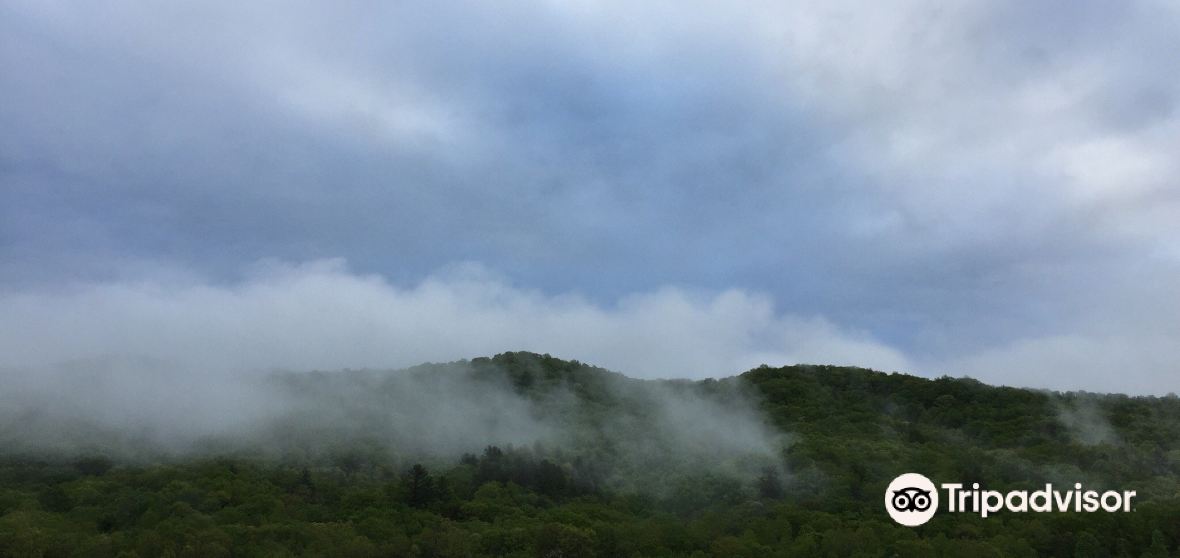 Travel Guide 2023 Things to Do, What To Eat & Tips