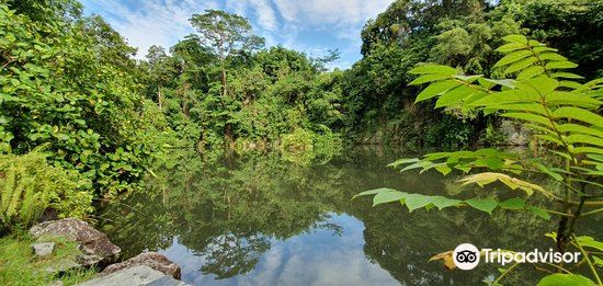 photo Bukit Gombak Nature Park trip com