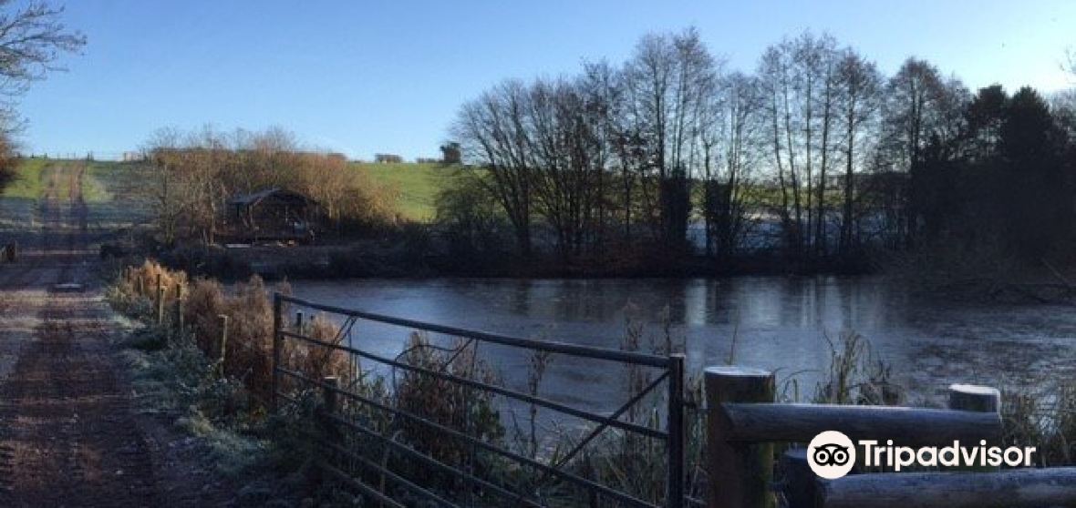 Hatfield and Newhampton Travel Guide 2023 Things to Do, What To Eat