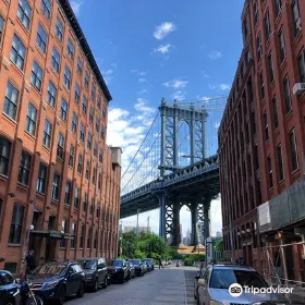 Dumbo Beach