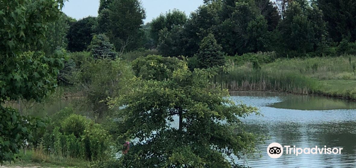 กิจกรรมน่าทำยอดนิยมในLeoCedarvilleประจำปี 2023 คู่มือท่องเที่ยวLeo