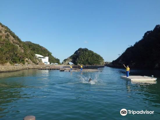 太地 太地くじら浜公園 評判 案内 トリップドットコム