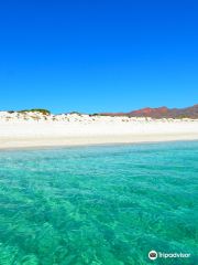 Baja Charters & Excursions