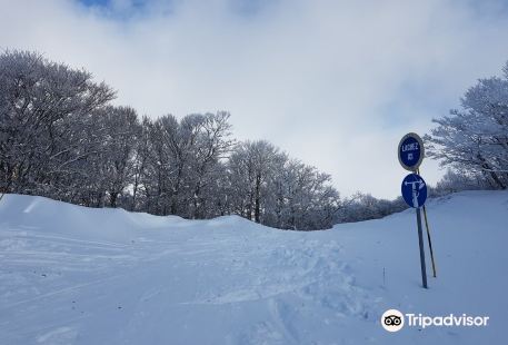 Station de Ski de Laguiole