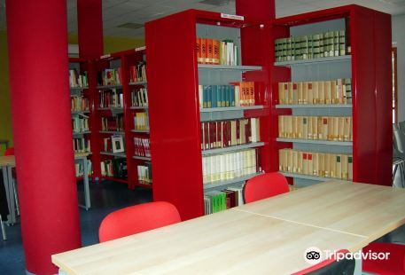 Biblioteca Comunale