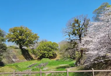 熊本城本丸御殿 รูปภาพAttractionsยอดนิยม