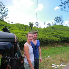 Ella Tuk Tuk Safari
