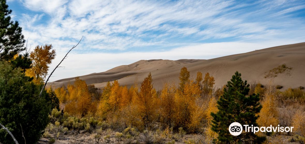 Saguache County 2022 Top Things to Do Saguache County Travel Guides