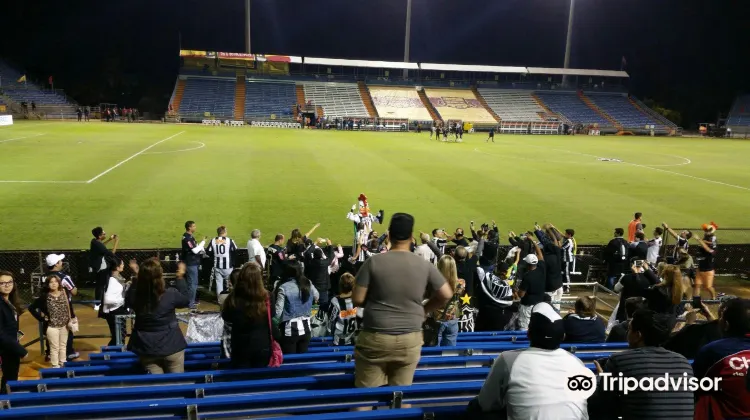 インテル マイアミ Cf スタジアムのレビュー インテル マイアミ Cf スタジアムのチケット インテル マイアミ Cf スタジアムの割引 インテル マイアミ Cf スタジアムの交通機関 所在地 営業時間 インテル マイアミ Cf スタジアム周辺の観光スポット ホテル