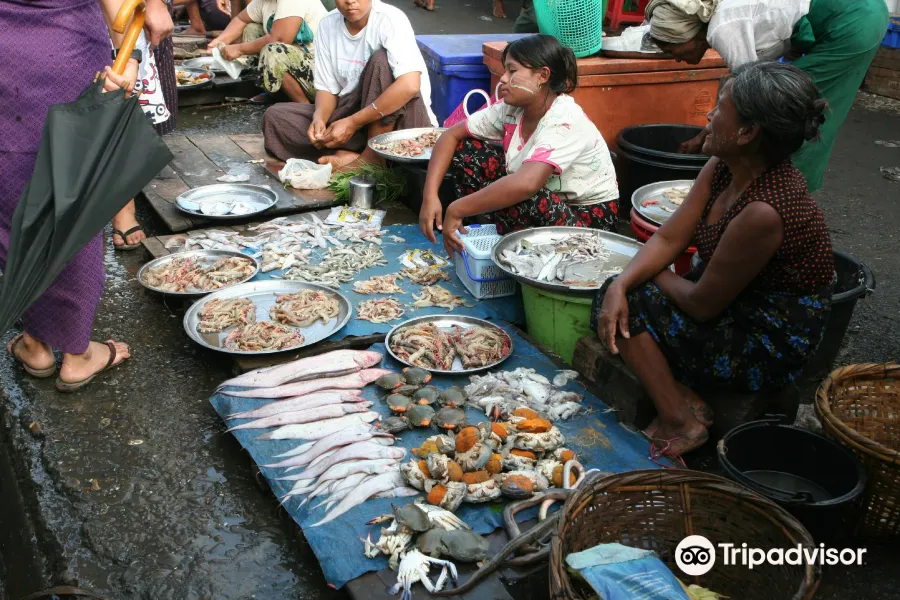 Fish Market2