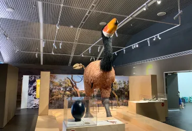 Megafauna Central - Museum and Art Gallery of NT รูปภาพAttractionsยอดนิยม