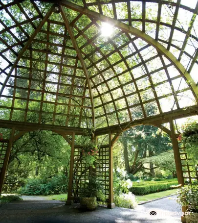 絶対に行くべきレイクウッドの観光スポット トリップドットコム