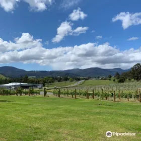 Kate Hill Wines