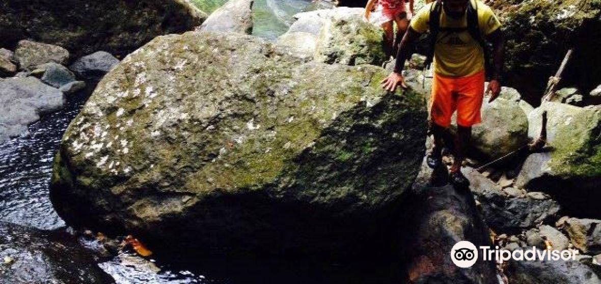 Toa Alta 2024 Top Things to Do Toa Alta Travel Guides Top