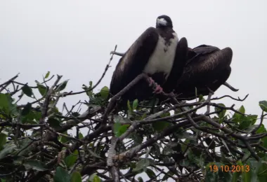 Andes Adventure Peru 熱門景點照片