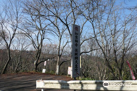 如意輪寺旅遊攻略指南 如意輪寺評論 如意輪寺附近推薦 Trip Com 如意輪寺旅遊攻略指南 如意輪寺評論 如意輪寺附近推薦 Trip Com