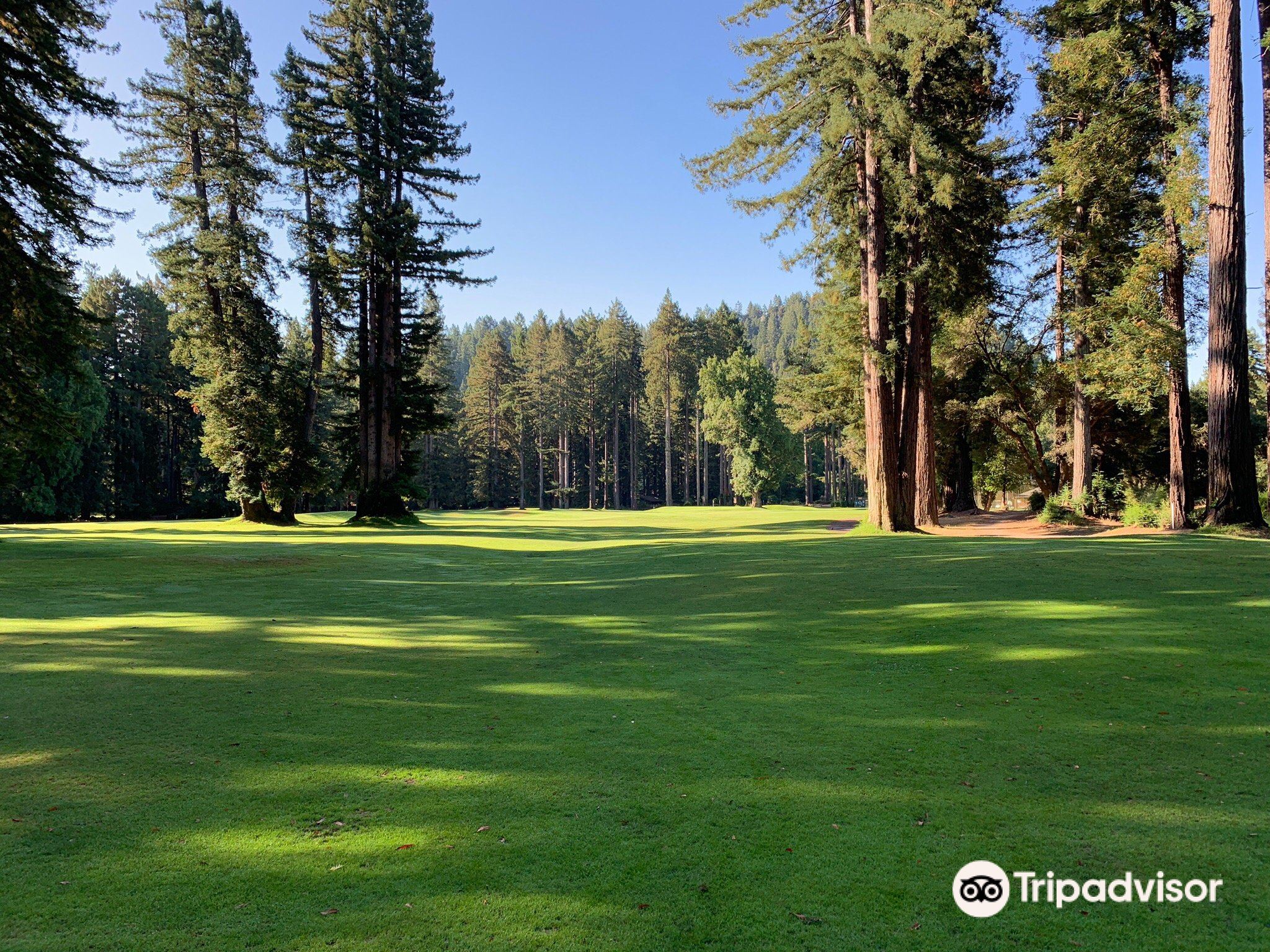 Latest travel itineraries for Northwood Golf Club in August (updated in  2023), Northwood Golf Club reviews, Northwood Golf Club address and opening  hours, popular attractions, hotels, and restaurants near Northwood Golf Club  -
