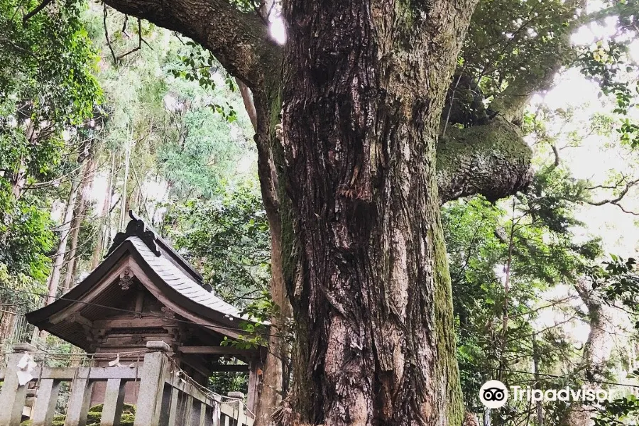 Akaiiwa Shrine1